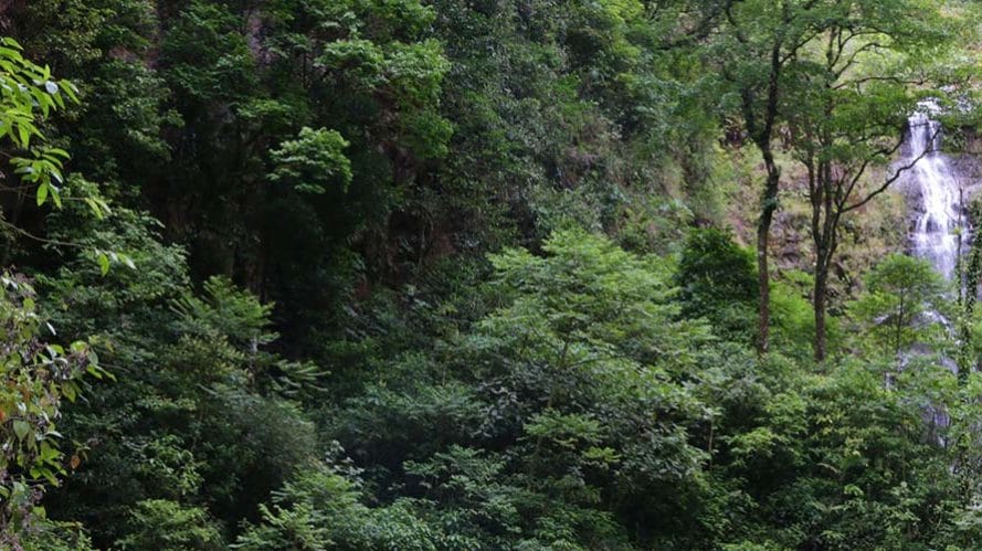 The best things to do in Guanacaste and Alajuela (Costa Rica’s undiscovered tour guide)