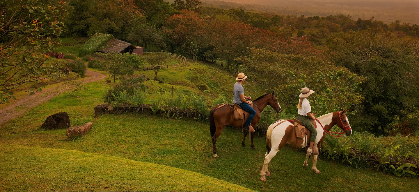 Indulge In Discovery