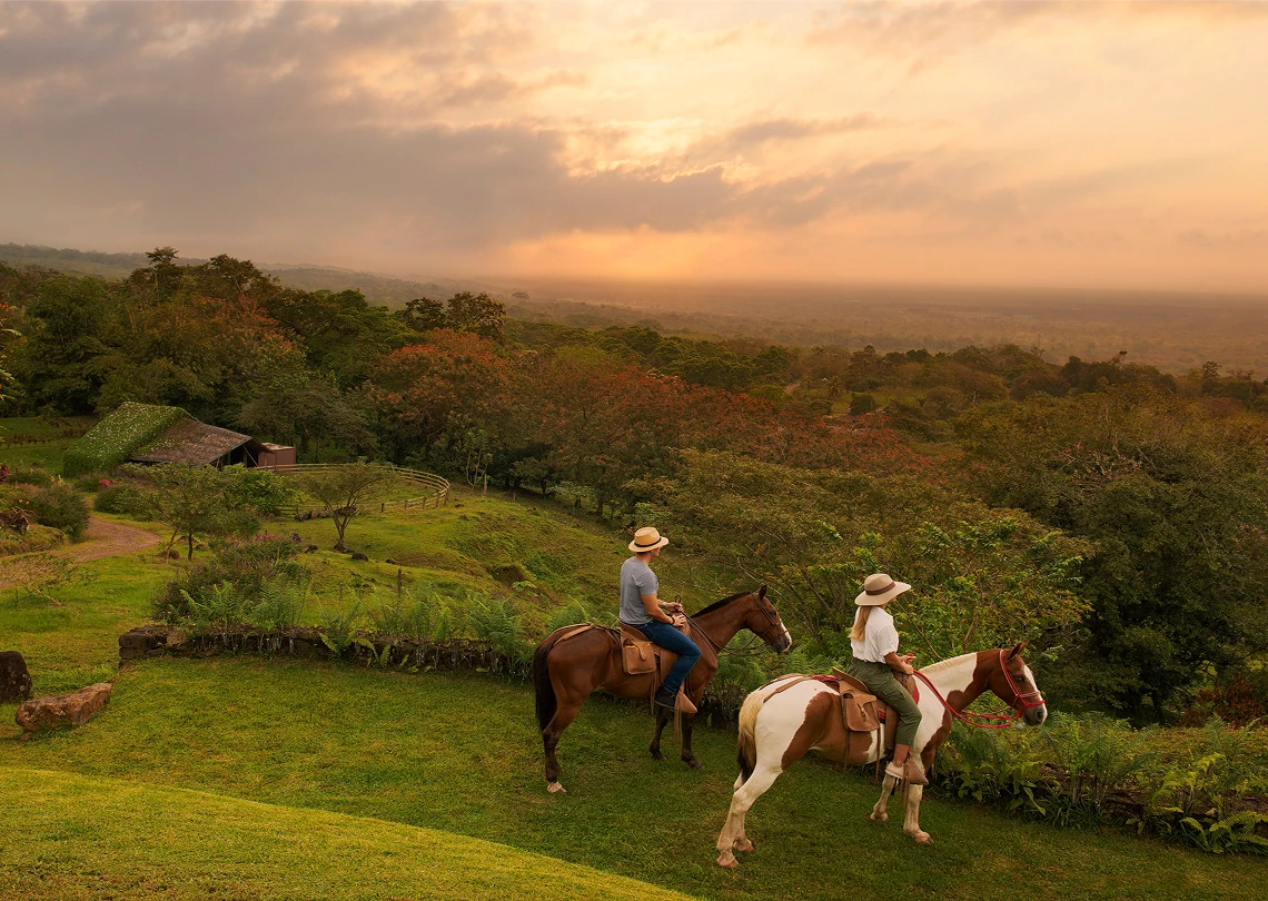 Indulge In Discovery