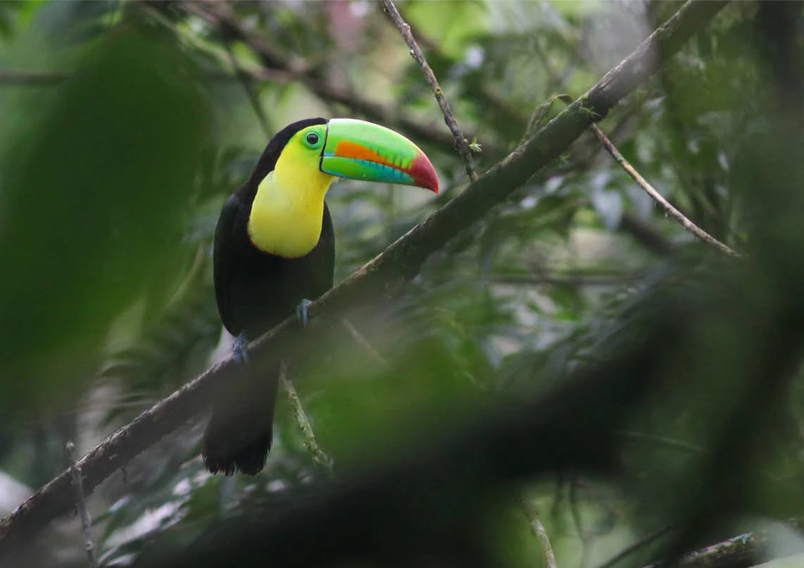 Indulge In Discovery