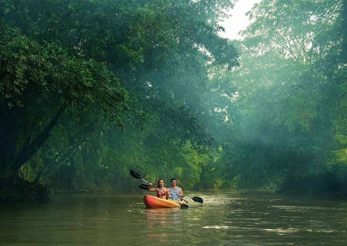 Indulge In Discovery