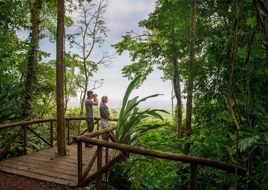 Indulge In Discovery