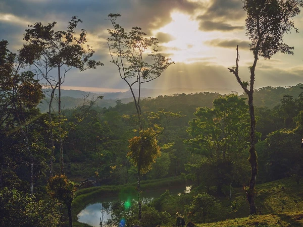 Hill's Talking Stones