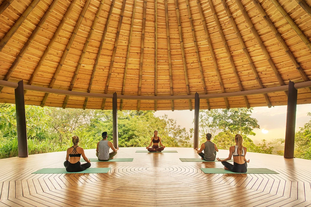 Wellness