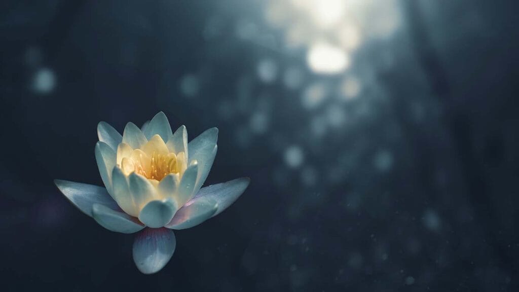 3 Meditations for Healing Your Body, Mind, and Soul